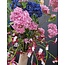 Pure Boeket 11 - Excl vaas