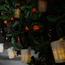 Countryfield Lichtslinger LED Kacy naturel