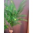 Light en Living Ornament LED 110 cm FEATHER donker groen