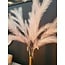 Light en Living Ornament LED 110 cm FEATHER roze