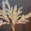 Light en Living Ornament kunsttak LED 110 cm FEATHER wit