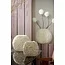 Light en Living Vaas deco 31,5x17x28 cm PHYLIA crème