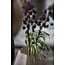 Light en Living Vaas Ø17x23,5 cm BRADLEY glas licht bruin