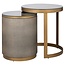 Richmond Interiors  Bijzettafel Bloomville met glas set van 2 Goud