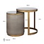 Richmond Interiors  Bijzettafel Bloomville met glas set van 2 Goud