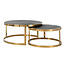 Richmond Interiors  Showroommodel Salontafel Blackbone gold set van 2  Black rustic
