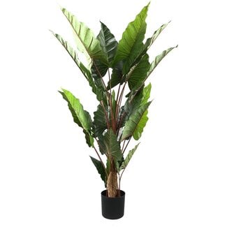 PTMD Kunstplant groen blad in zwarte pot - 170 cm hoog