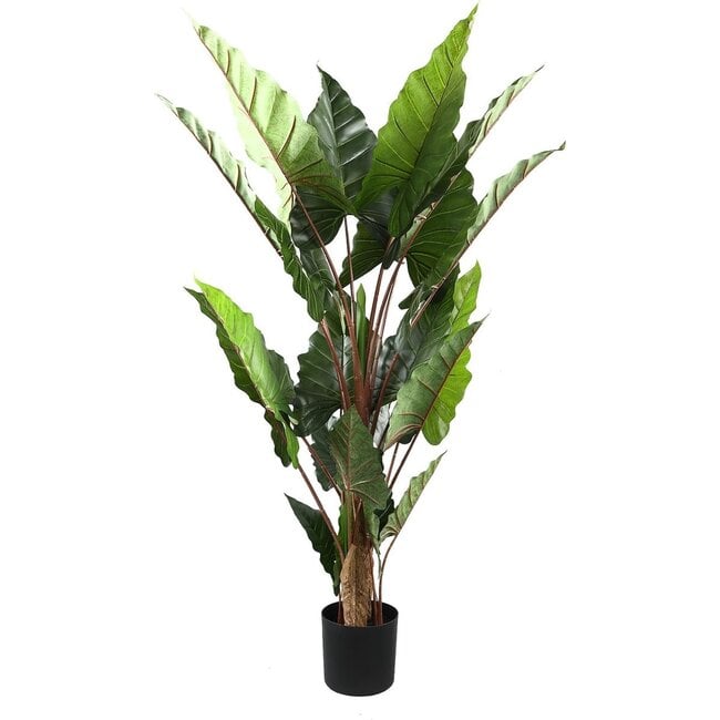 PTMD Kunstplant groen blad in zwarte pot - 170 cm hoog