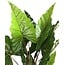 PTMD Kunstplant groen blad in zwarte pot - 170 cm hoog