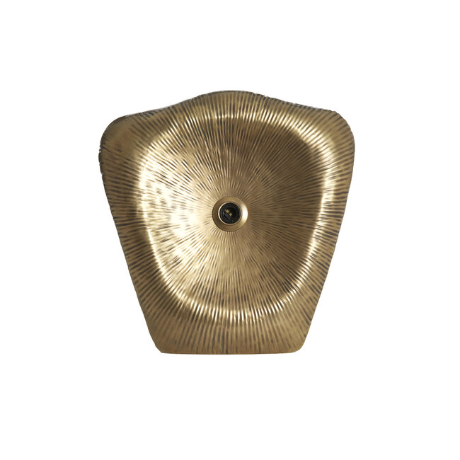 Light en Living Wandlamp 51x9x51 cm AMADI antiek brons