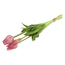 Countryfield Boeket kunstbloemen Tulip Greigii paars