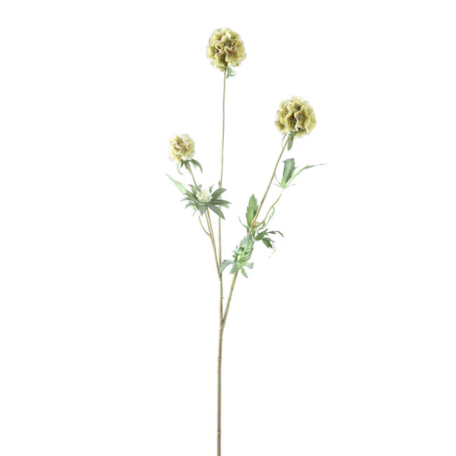 PTMD Kunsttak Groen Scabiosa