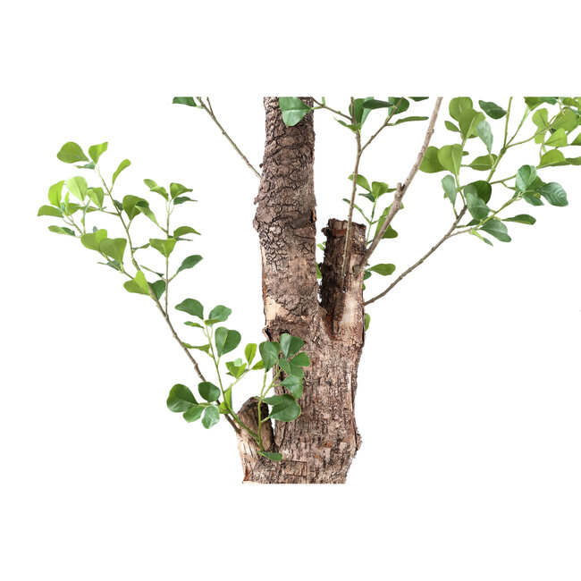 PTMD Kunstplant Groen Triangularis in pot 180cm