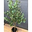 Countryfield Kunstplant Olea olijfboom L groen - 120 cm hoog