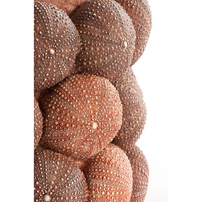 Light en Living Vaas deco Ø19X32,5 cm ZEEËGEL koraal rood