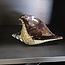 Light en Living Ornament 28x12x16 cm SHELL glas olijf  groen