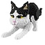 Balody 3D bouwset Zwart witte kat