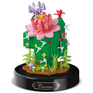 Balody 3D bouwset Cactus onder stolp