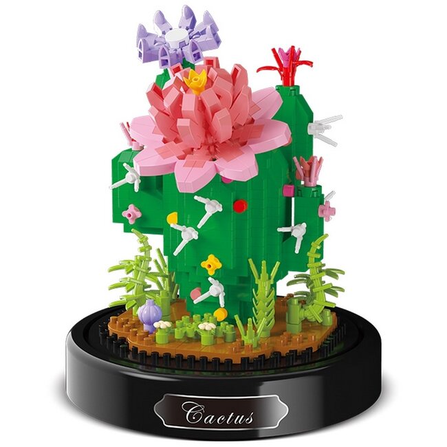 Balody 3D bouwset Cactus onder stolp