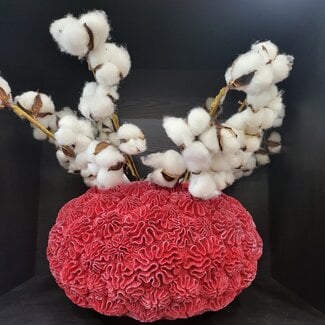 Light en Living Vaas Deco Ø37X21 Cm Coral Rood