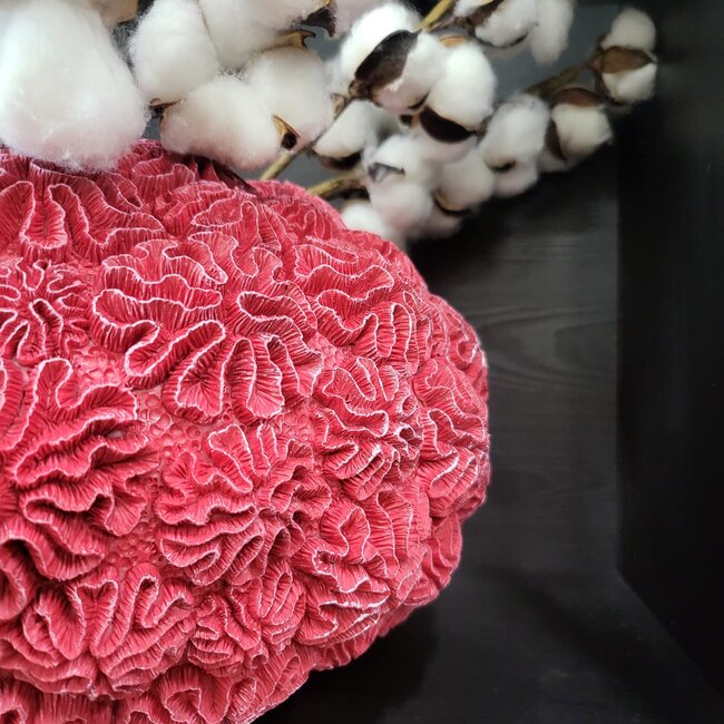 Light en Living Vaas Deco Ø37X21 Cm Coral Rood