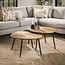 WoonStijl Salontafel set van 2 organisch ray metal