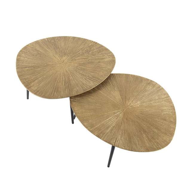 WoonStijl Salontafel set van 2 organisch ray metal