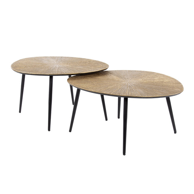 WoonStijl Salontafel set van 2 organisch ray metal