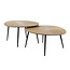 WoonStijl Salontafel set van 2 organisch ray metal