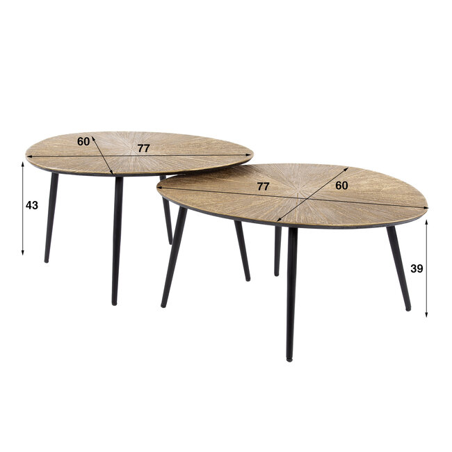 WoonStijl Salontafel set van 2 organisch ray metal