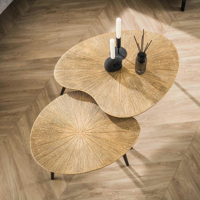 WoonStijl Salontafel set van 2 niervormig ray metal