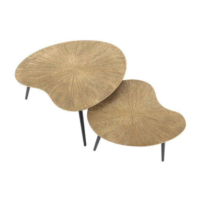 WoonStijl Salontafel set van 2 niervormig ray metal