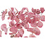 Countryfield Kunstblad Eucalipthus Cinerea roze