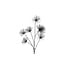 Countryfield Kunstbloem Grevillea M zwart