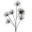 Countryfield Kunstbloem Grevillea M zwart