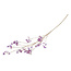 Countryfield Kunstbloem wild Hortensia L paars i-L173B50H120CM
