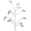 Countryfield Kunstbloem wild Hortensia L paars i-L173B50H120CM