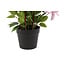 Countryfield Kunstplant Clematis XL roze 94 cm hoog