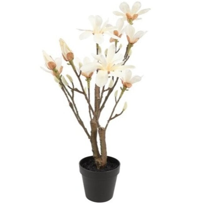 Countryfield Kunstplant Magnolia S wit 54 cm hoog