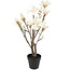 Countryfield Kunstplant Magnolia S wit 54 cm hoog