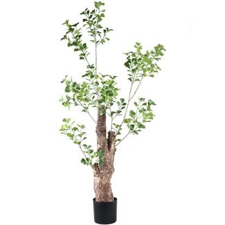 PTMD Kunstplant Groen Triangularis in pot 180cm
