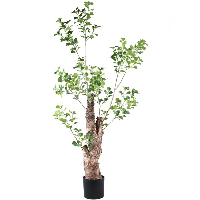 PTMD Kunstplant Groen Triangularis in pot 180cm