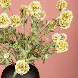 PTMD Kunsttak Groen Scabiosa