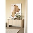 Eleonora Dressoir Don