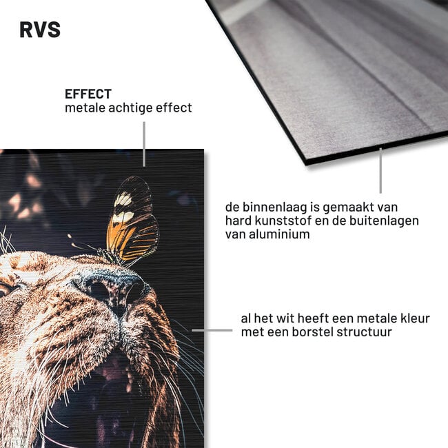 Wandkraft Whispered Grace - Exclusief Wandkraft RVS Portret