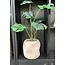 ISAA Pot Mancha 27x25 cm - taupe