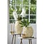 Light en Living Vaas deco Ø28x29 cm AGELLO crème