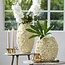 Light en Living Vaas deco Ø26x39,5 cm AGELLO crème