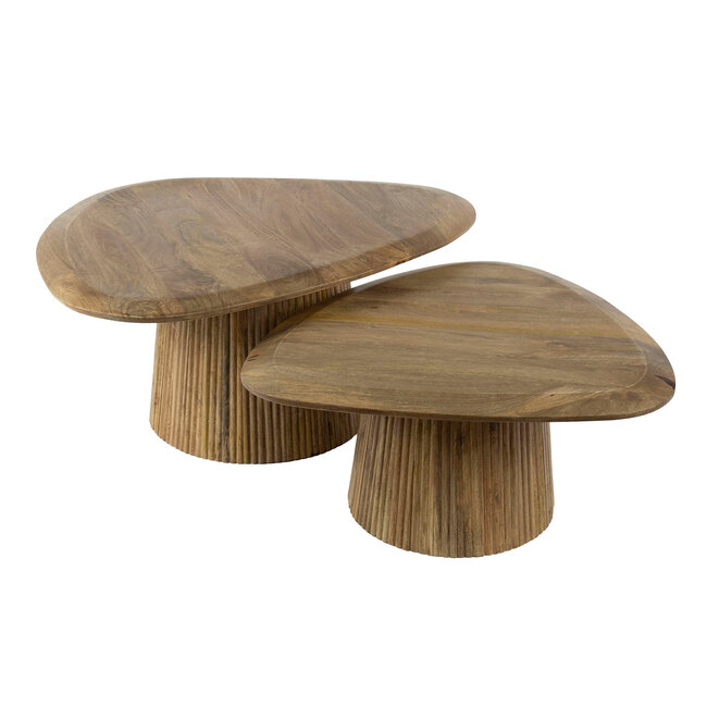 WoonStijl Salontafel set van 2 wave driehoekig blad