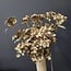 Countryfield Kunsttak Hydrangea bruin